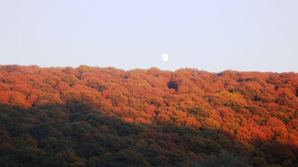 Beautiful views are all about us at porth-y-parc